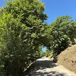 Vivienda De Uso Turistico En Plena Naturaleza O Poleiro シャレー
