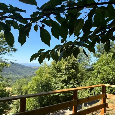 Vivienda De Uso Turistico En Plena Naturaleza O Poleiro *